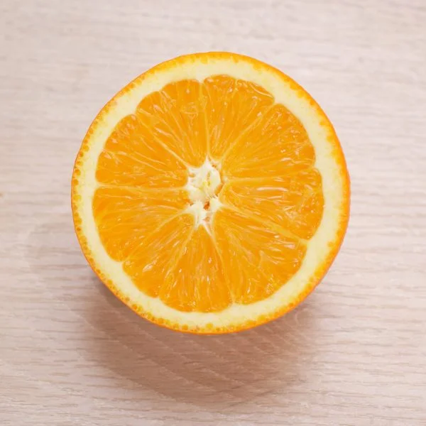 Oranger Navelina – Image 2