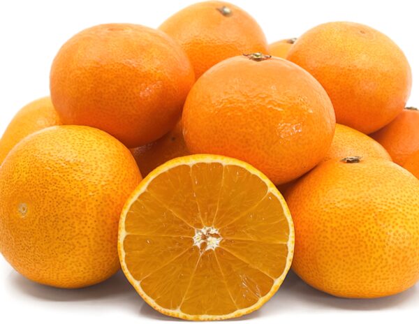 Beni Madonna orange tree - Image 2